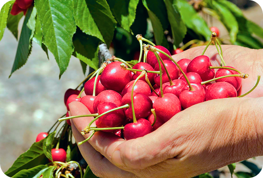 Thiết kế chưa có tên (30) 1